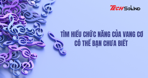 Tìm hiểu chức năng của vang cơ có thể bạn chưa biết