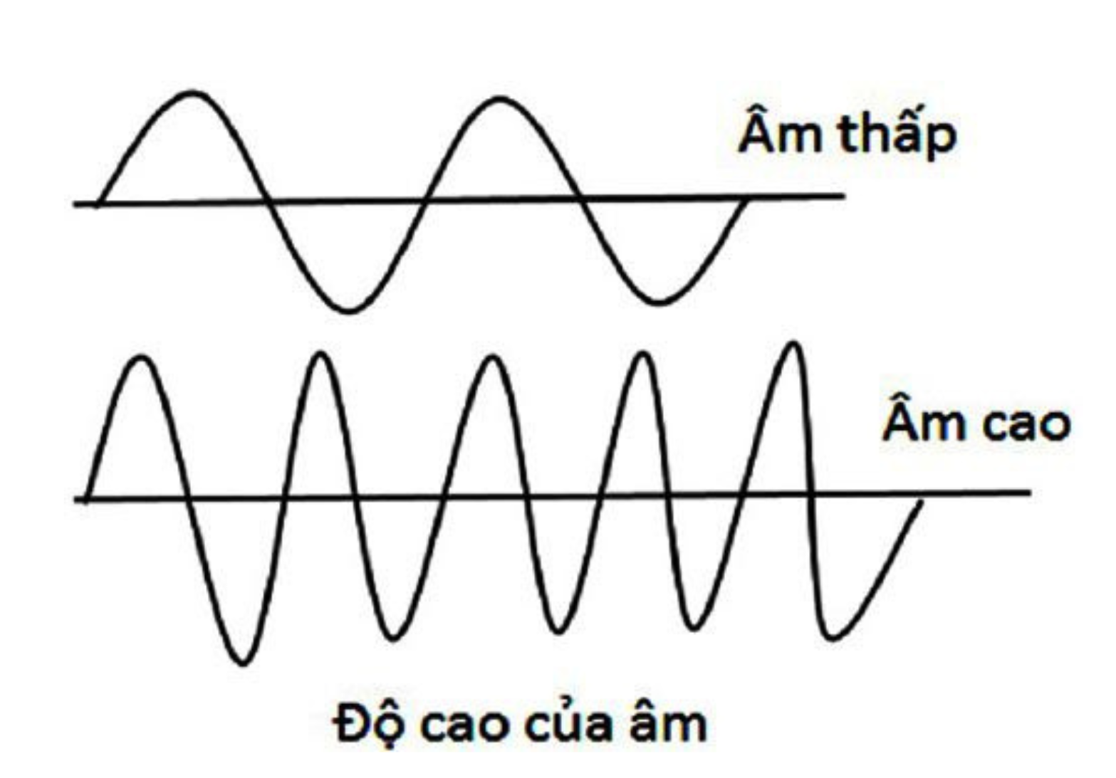hinh anh bass la gi nhung thong tin can biet ve am bass so 2