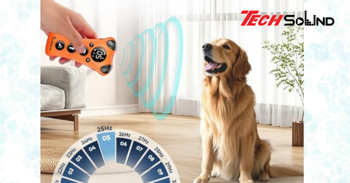 Âm thanh siêu tần số – Công nghệ chỉ thú cưng mới nghe thấy