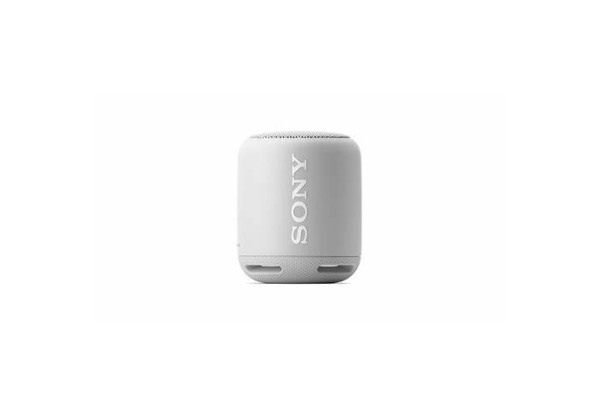 Loa không dây Sony SRS-XB 100