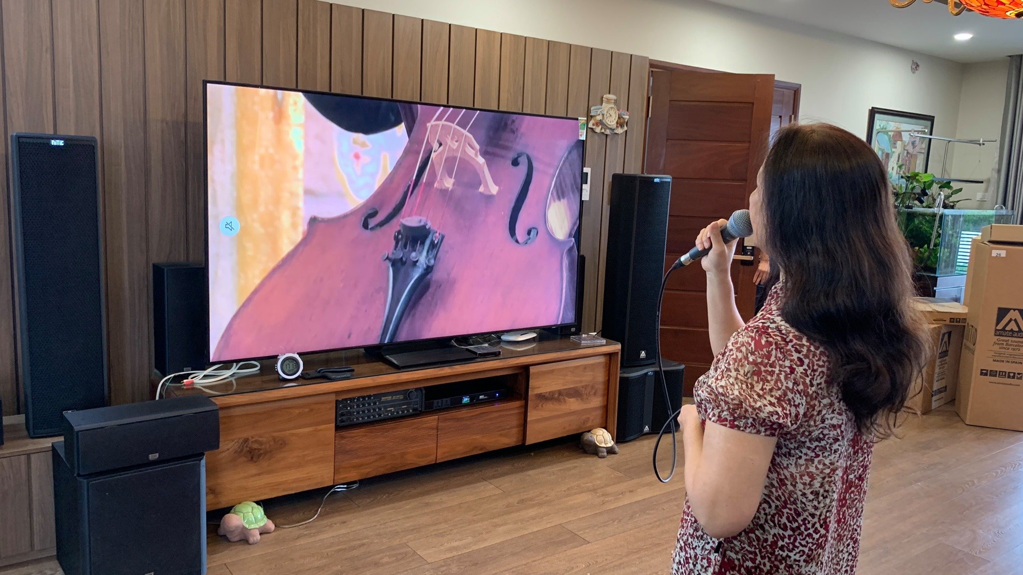 Lắp đặt hệ thống âm thanh Amate Audio Active tại Hà Nội