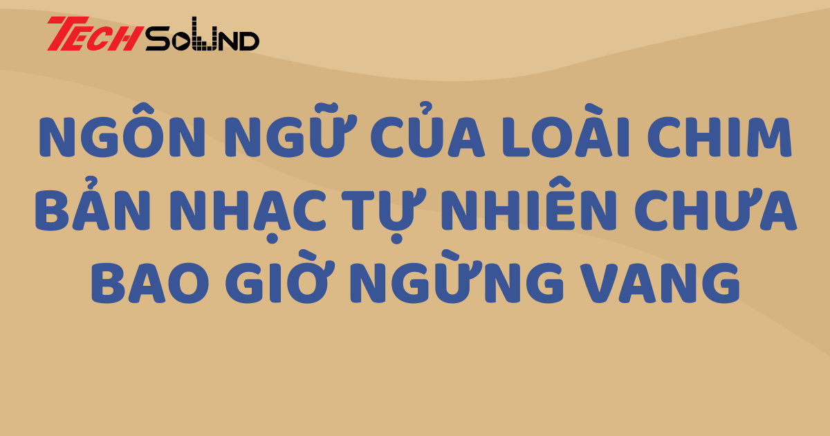 Ngôn ngữ của loài chim: Bản nhạc tự nhiên chưa bao giờ ngừng vang