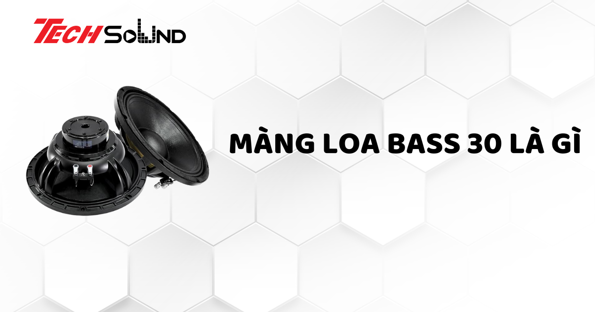 Màng loa bass 30 và những điều bạn nên biết