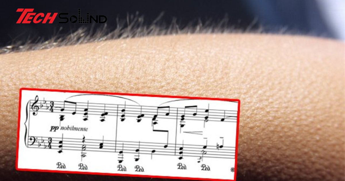Khoa Học Đằng Sau Cảm Giác 
