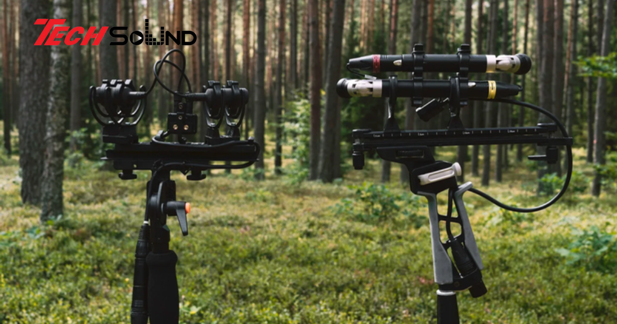 Tìm Hiểu Field Recording: Nghệ Thuật Ghi Âm Âm Thanh Tự Nhiên Và Thành Phố