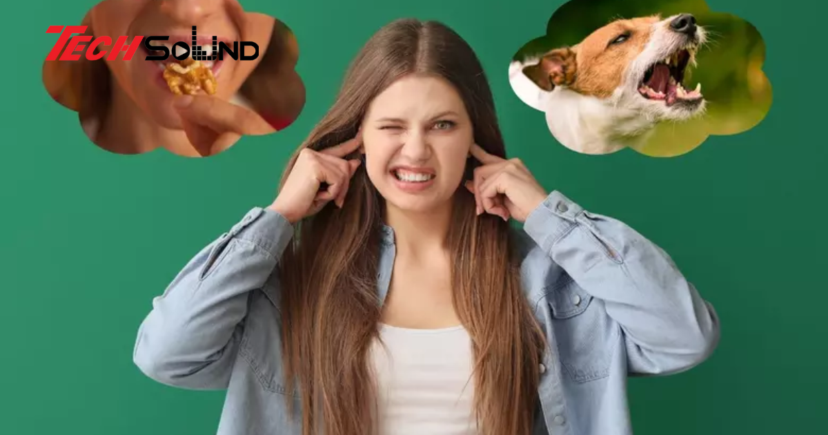 Tìm Hiểu Tại Sao Một Số Âm Thanh Khiến Chúng Ta Cảm Thấy Khó Chịu?