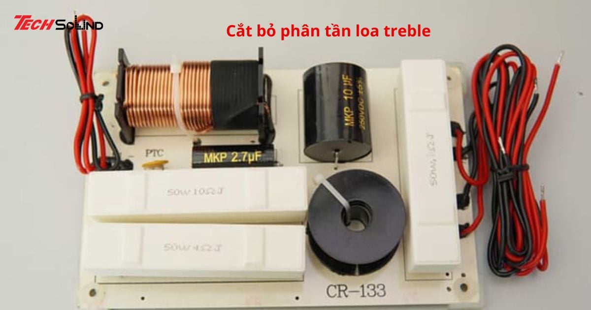 bien loa thuong thanh loa sub 4