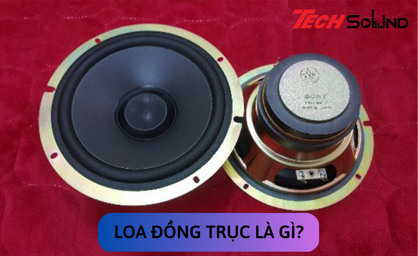 loa dong truc la gi 1