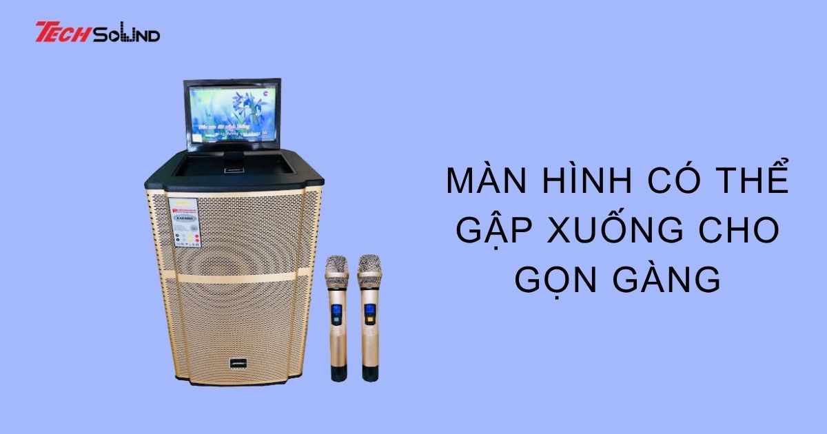 loa keo co man hinh 2