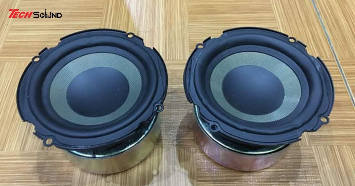 loa mid bass 2