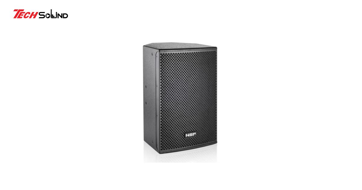 loa subwoofer NSP 2