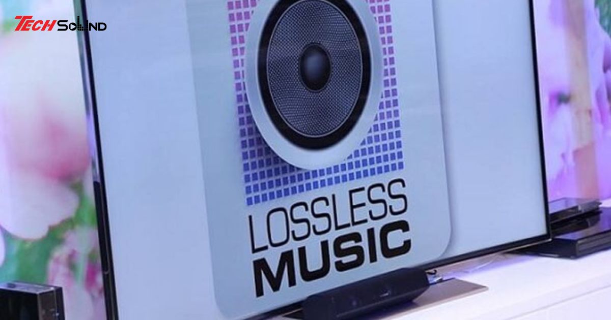 lossless la gi 2