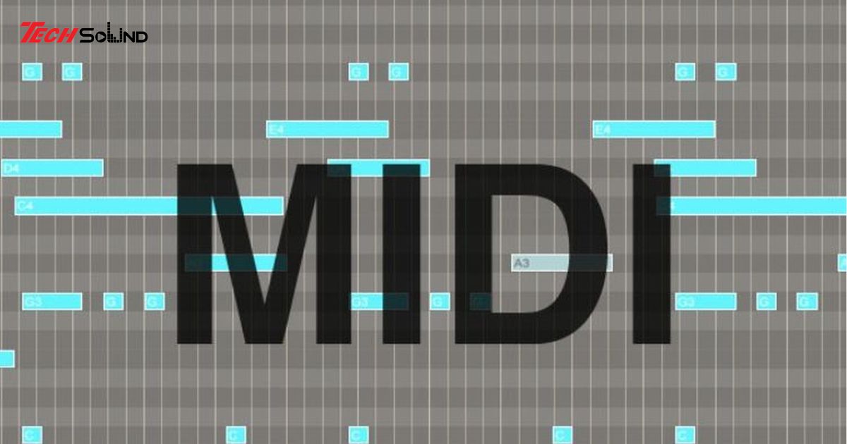 midi la gi 2