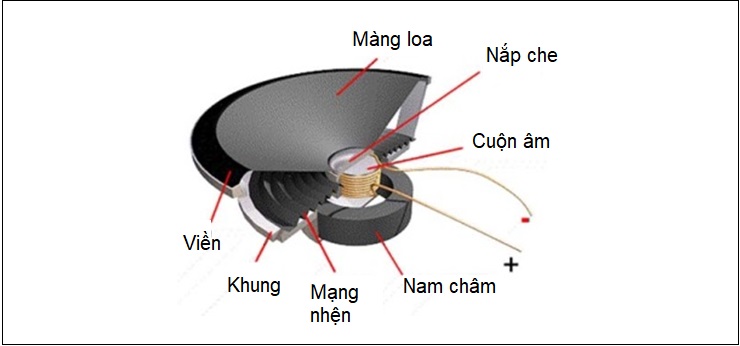 phan biet loa woofer tweefer 1