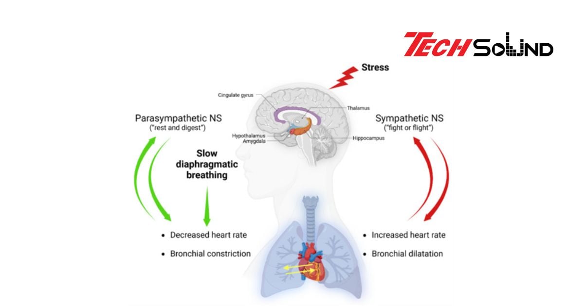 Những công nghệ lọc tiếng thở, tiếng pop mới nhất trên micro thu âm