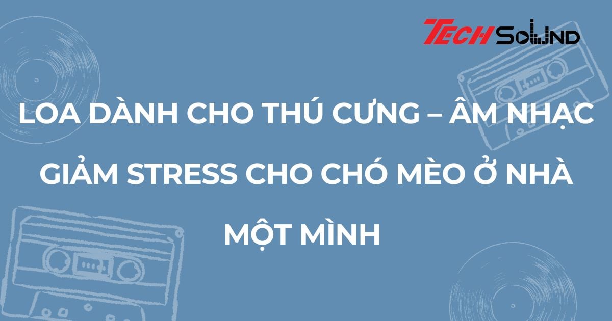 Loa dành cho thú cưng – âm nhạc giảm stress cho chó mèo ở nhà một mình