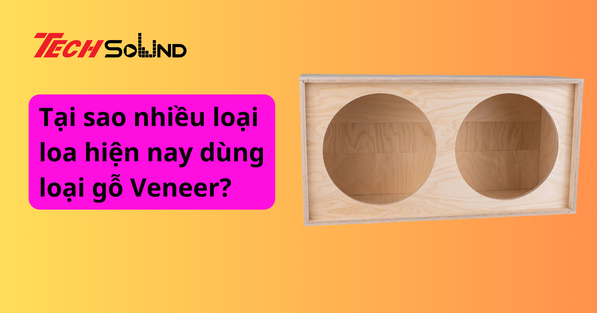 Tại sao nhiều loại loa hiện nay dùng loại gỗ Veneer?
