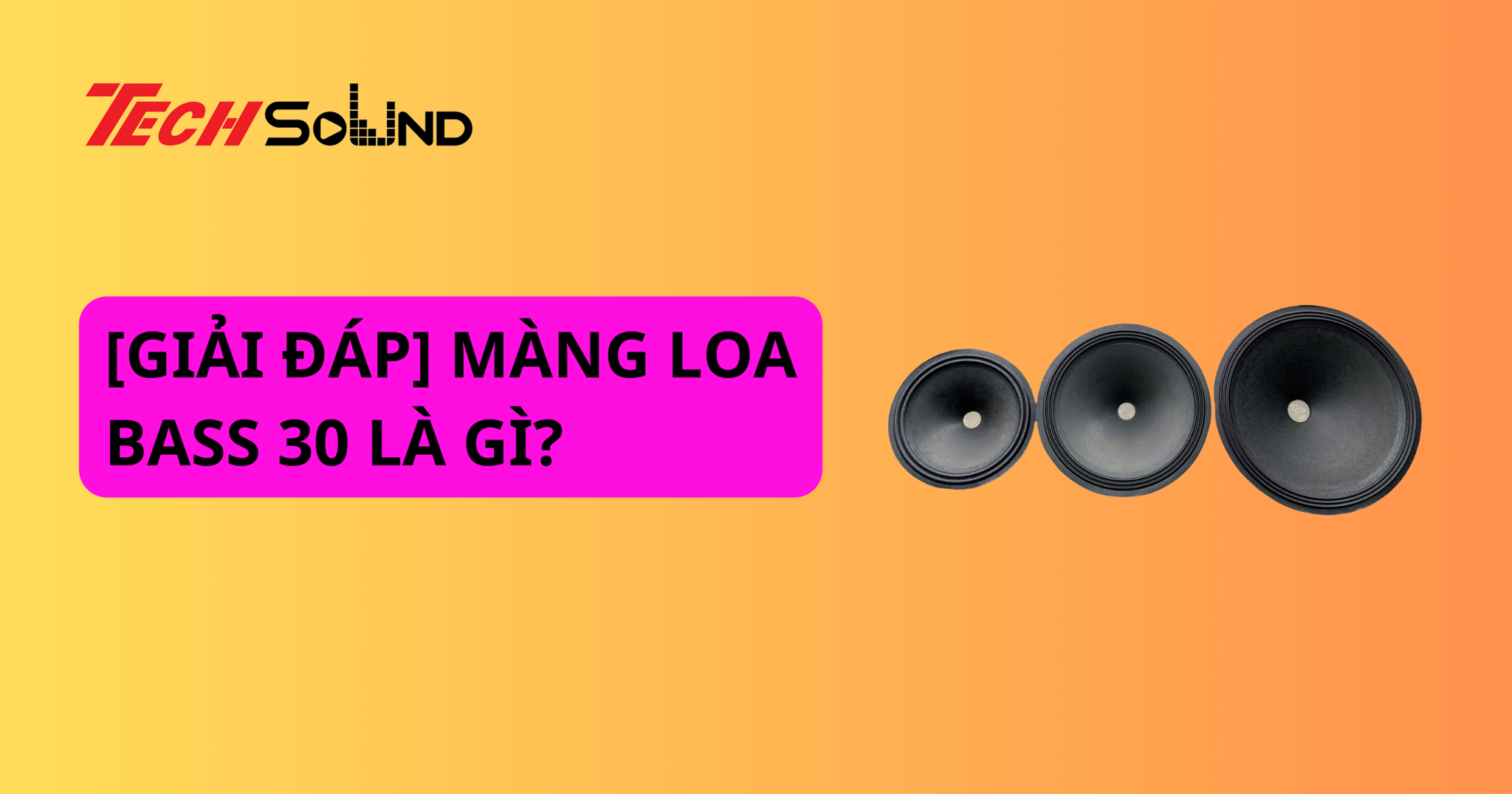 [GIẢI ĐÁP] MÀNG LOA BASS 30 LÀ GÌ?