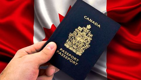 Tổng hợp 4 diện định cư Canada phổ biến năm 2025