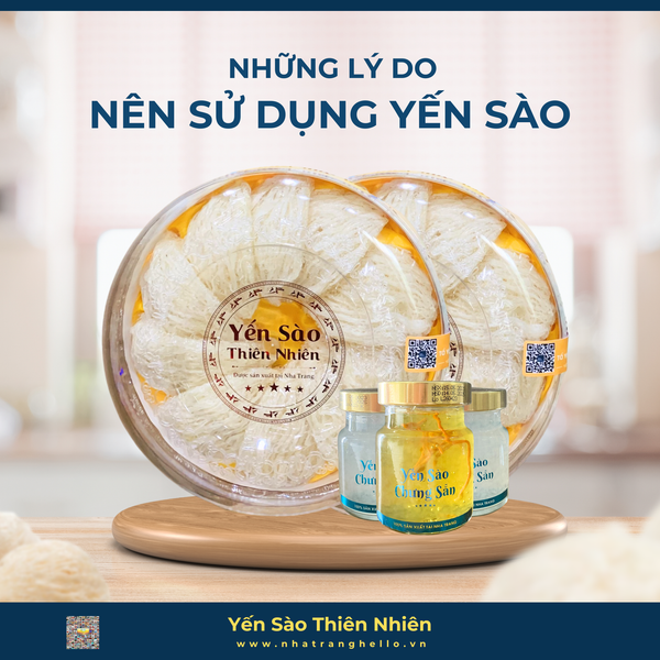 TỔ YẾN CÓ TÁC DỤNG GÌ ?  TẠI SAO NÊN SỬ DỤNG YẾN SÀO?