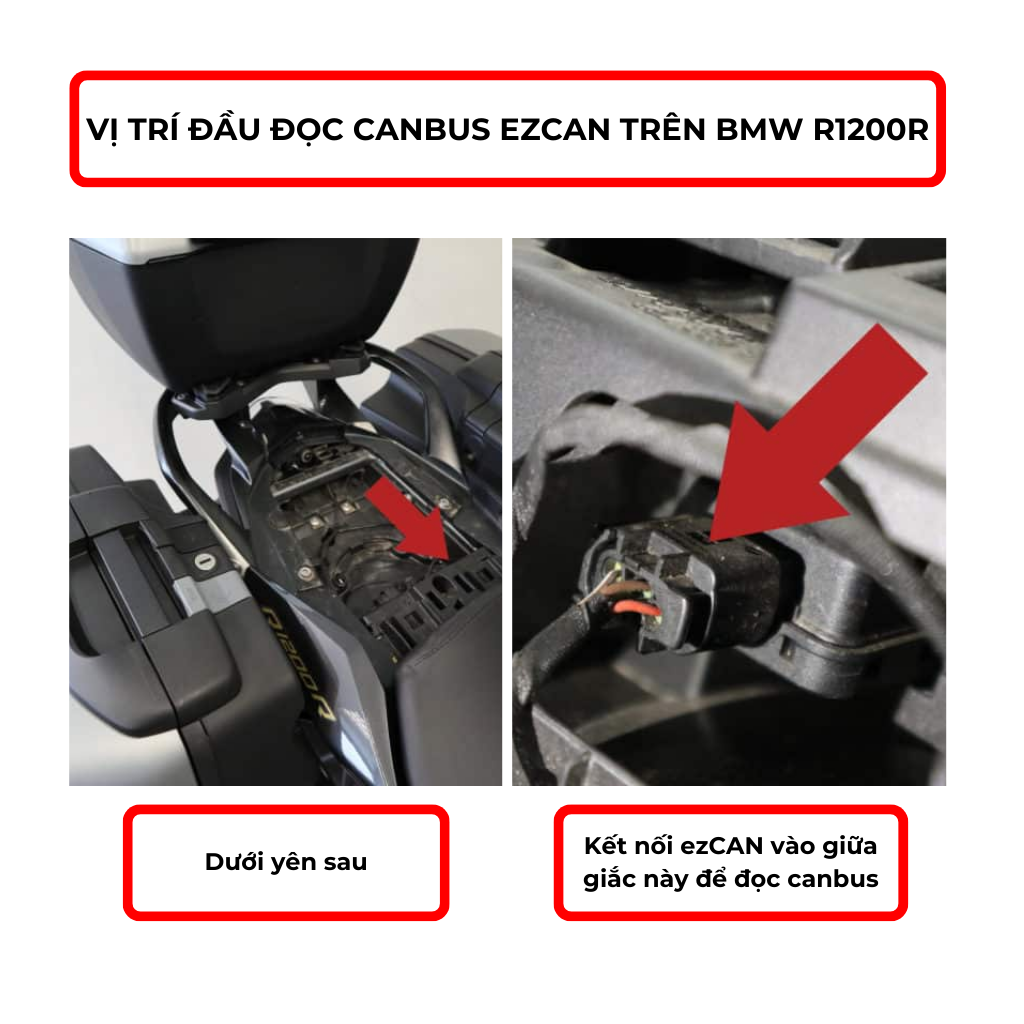 Vi tri dau canbus tren bmw r1200r