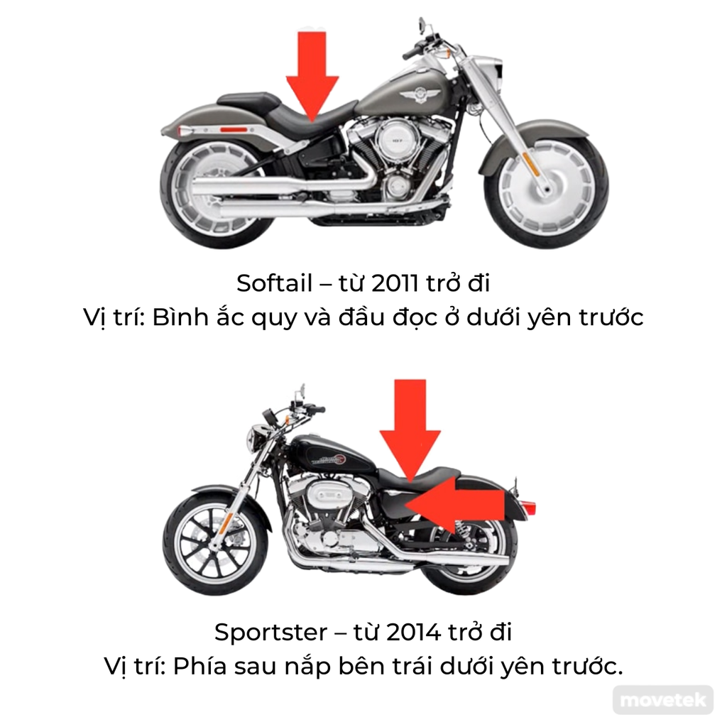 binh ac quy va dau doc tren xe Softail va xe Sportster