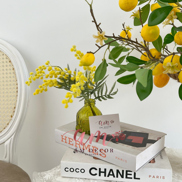 BST Set Decor Concept Mùa Hè – Gợi ý không gian sống tràn năng lượng cùng Ấm Decor