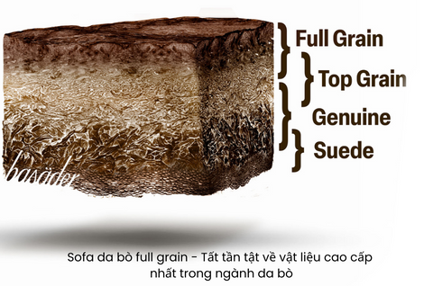 Sofa da bò full grain - Tất tần tật về vật liệu cao cấp nhất trong ngành da bò