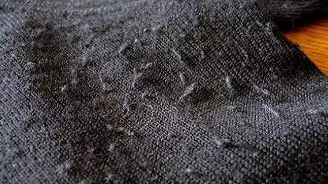 Bí Quyết Giữ Ghế Sofa Da Bò Luôn Đẹp: Ngăn Ngừa Tìm Trạng Xù Lông Hiệu Quả