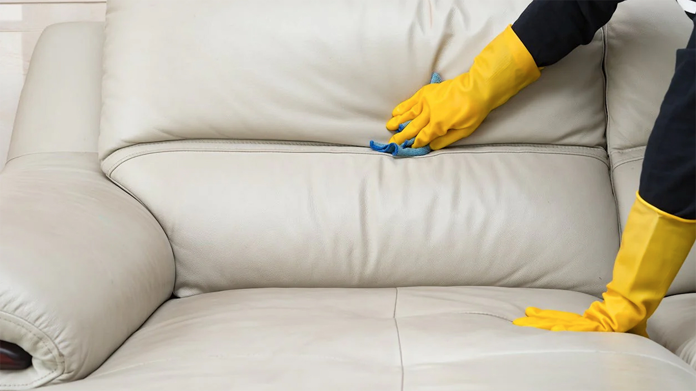 Bí Quyết Bảo Vệ Ghế Sofa Da Trước Những Người Bạn Lông