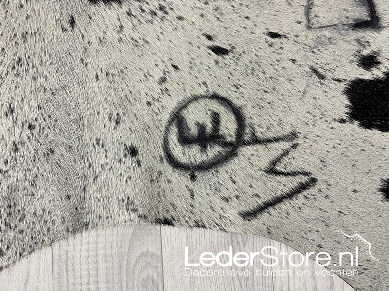 Khám Phá Những Dấu Ấn Tự Nhiên Trên Da Bò: Đặc Điểm và Ý Nghĩa