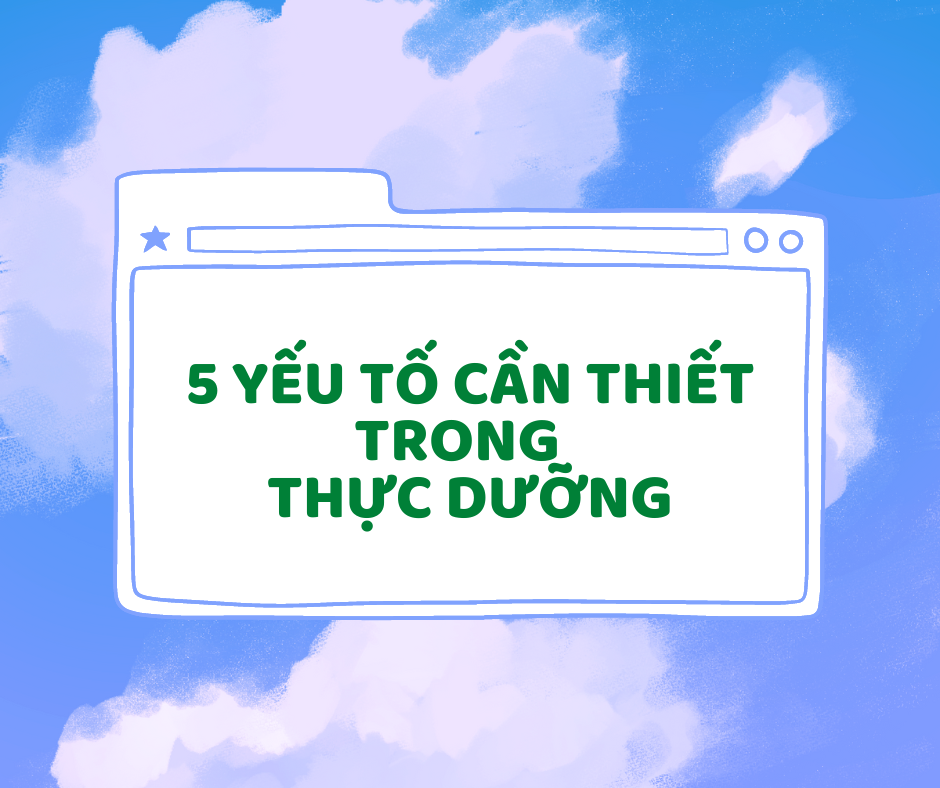 5 YẾU TỐ CẦN THIẾT Trong Thực Dưỡng