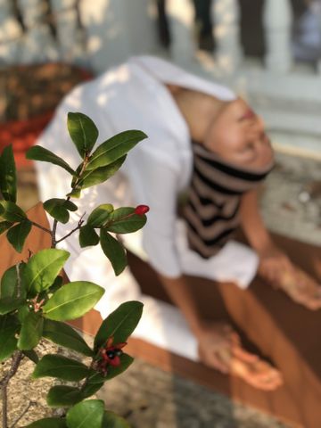 Tâm Sự, Chia Sẻ Nghề HLV Yoga