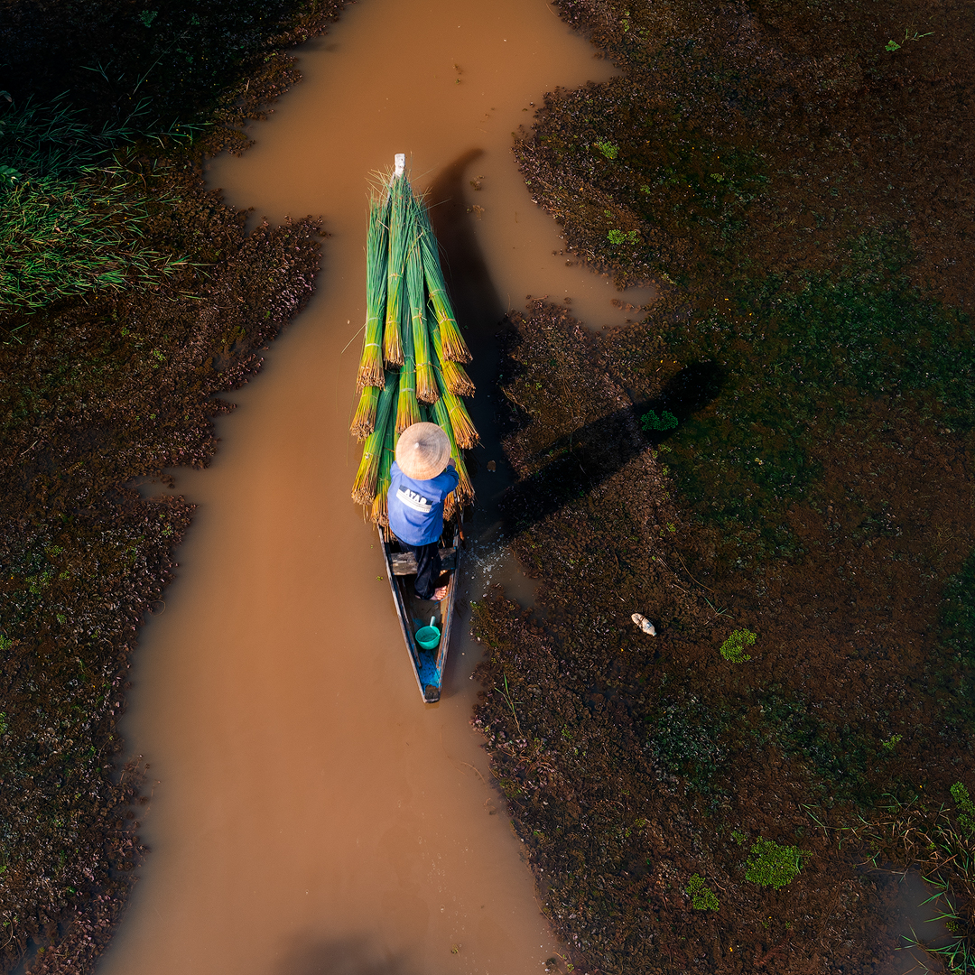 Sản phẩm từ cỏ bàng - Giải pháp thân thiện với môi trường