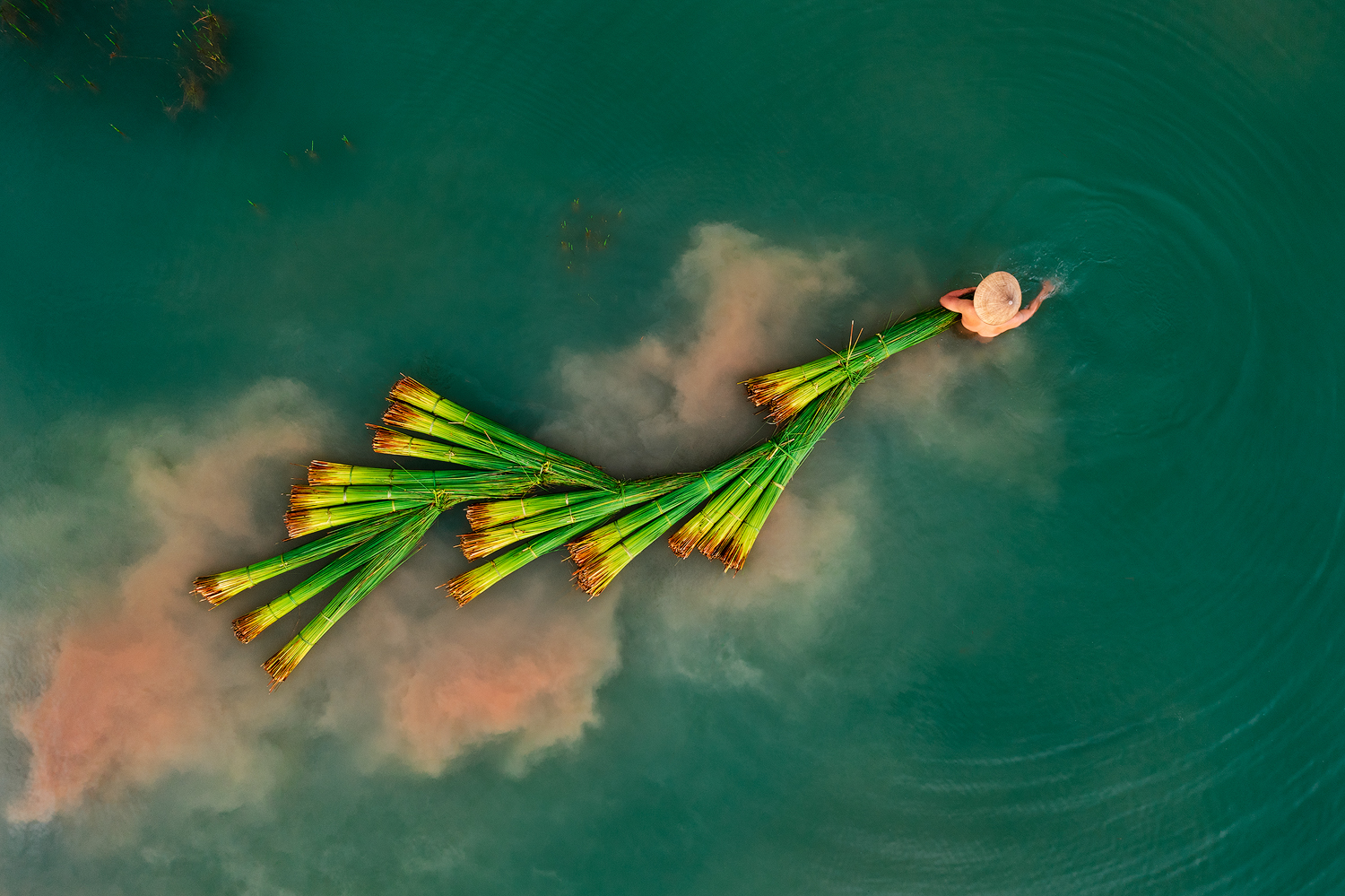 Cỏ bàng - Nét đẹp truyền thống Việt Nam vươn tầm thế giới