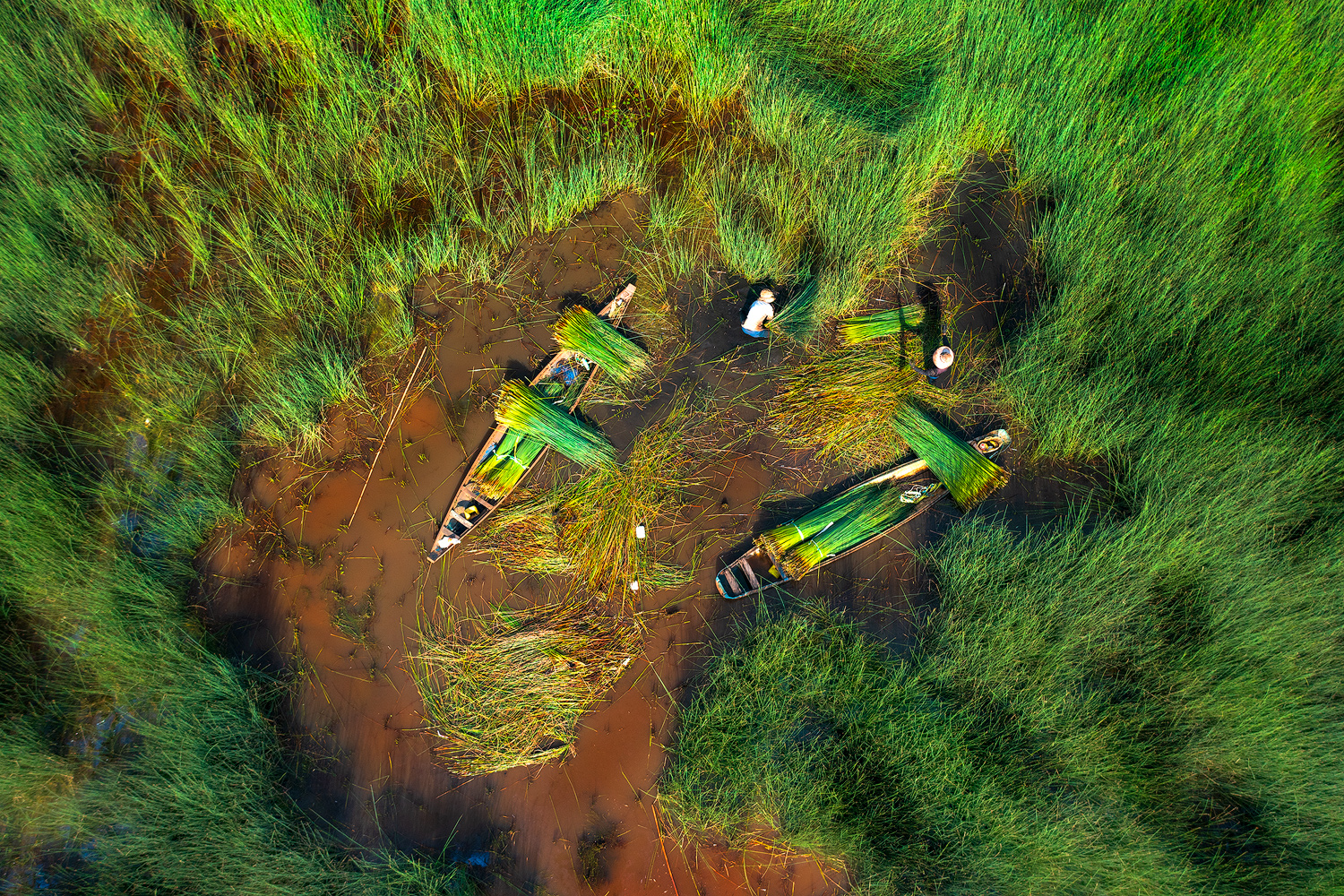 Miền Tây Xanh - Những Sản Phẩm Thủ Công Mỹ Nghệ Từ Cỏ Bàng