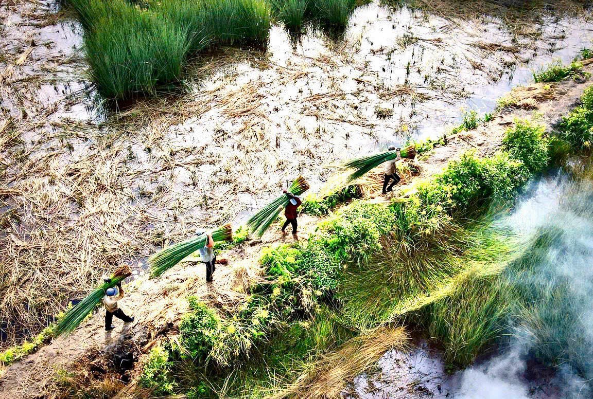 NƠI KHỞI NGUỒN CỦA NHỮNG CHIẾC TÚI CỎ BÀNG – GREEN CRAFT