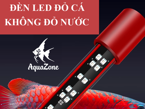 Tổng Hợp Các Loại Đèn Đỏ Cá Không Đỏ Nước