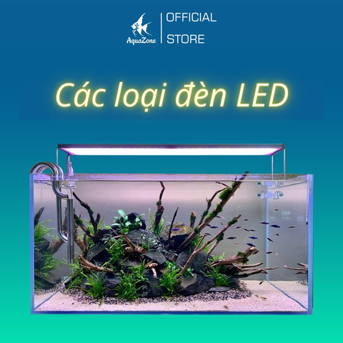 Các Loại Đèn Led Hồ Cá Phổ Biến Nhất Hiện Nay