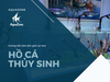 Cách làm hồ thủy sinh đơn giản: 7 bước cho người mới