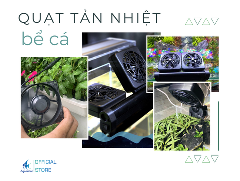 Cách Lựa Chọn và Sử Dụng Quạt Làm Mát Cho Bể Cá Thủy Sinh