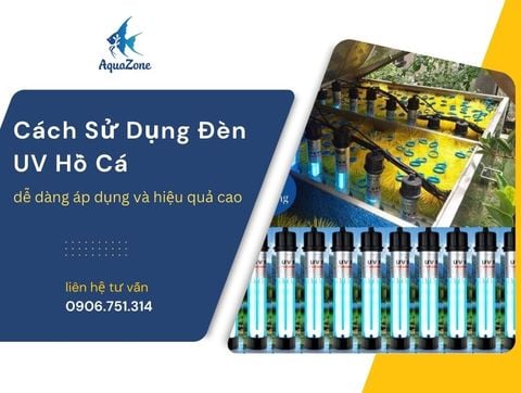 Cách Chọn Và Sử Dụng Đèn UV Diệt Khuẩn Cho Bể Thủy Sinh
