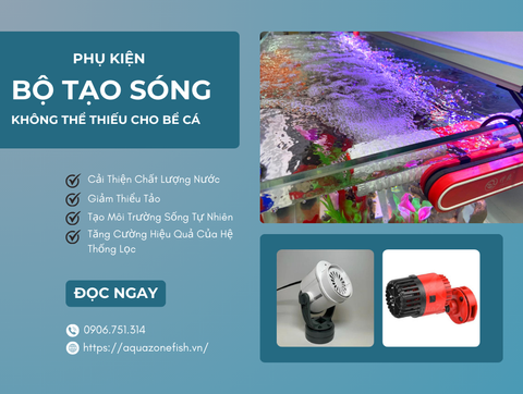 Bộ Tạo Sóng: Phụ Kiện Không Thể Thiếu Cho Bể Cá Thủy Sinh