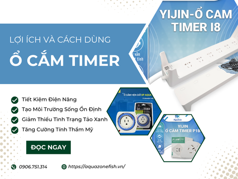 Ổ Cắm Hẹn Giờ Tự Động Cho Hệ Thống Chiếu Sáng Thủy Sinh: Lợi Ích Và Cách Sử Dụng