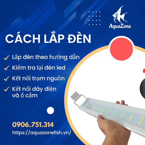 Hướng Dẫn Cách Gắn Đèn Led Cho Hồ Cá Đúng Chuẩn