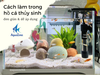 Cách làm trong nước hồ cá theo đúng nguyên nhân