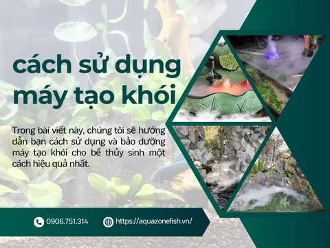 Cách Sử Dụng Và Bảo Dưỡng Máy Tạo Khói Cho Bể Thủy Sinh