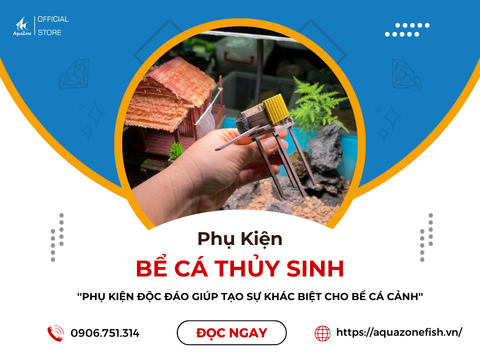 Những Phụ Kiện Độc Đáo Để Tạo Sự Khác Biệt Trong Bể Cá Cảnh