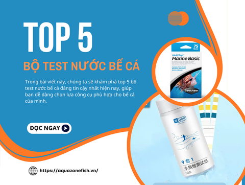 Top 5 Bộ Test Nước Bể Cá Đáng Tin Cậy