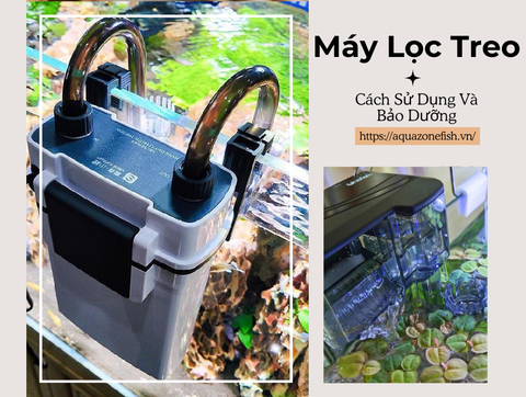 Cách Sử Dụng Và Bảo Dưỡng Máy Lọc Treo Cho Bể Cá